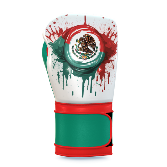 National Mexico Flag Boxing Gloves
